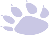 Asset_9.png