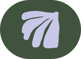 icon1.png