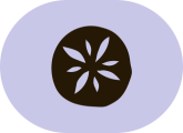icon2.png