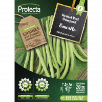 haricot vert grimpant emerite