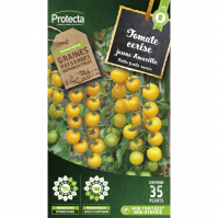 tomate cerise jaune amarilla
