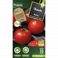 tomate matina