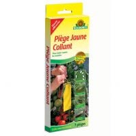 piege jaune collant Neudorff