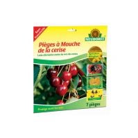 Pièges à Mouche de la cerise x7