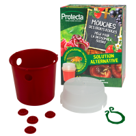 Piège pour la mouches des fruits rouges