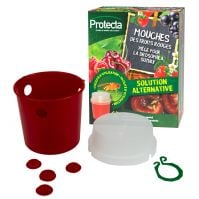 Val voor de Aziatische fruitvlieg