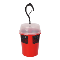 Piège pour la détection de la mouche asiatique des fruits rouges