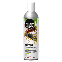 Insecticide huile essentielle de menthe guêpes et frelons 