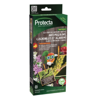 300 oeufs de chrysope sur fil anti-pucerons, cochenilles et acariens plantes d’intérieur et arbres