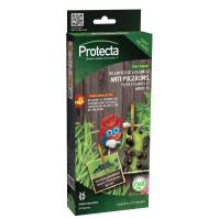 80 larves de coccinelle anti-pucerons petites plantes et arbustes