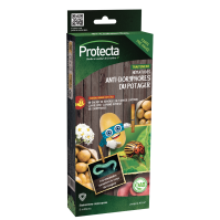 Nématodes anti-doryphores du potager
