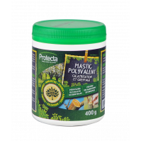 Mastic polyvalent pot 400 g
