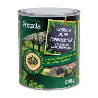 Pijnboomteer pasta