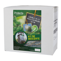Piège collier processionnaire du pin forte infestation