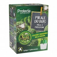 Pyrale du buis piège à phéromone