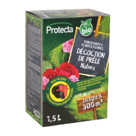 PAARDENSTAARTGIER NATURA - ROZEN  EN BLOEIENDE PLANTEN