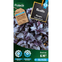 Basilic Pourpre Opal 