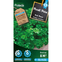 Persil Frisé vert foncé 