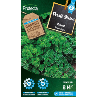 Persil Frisé vert foncé Robust 