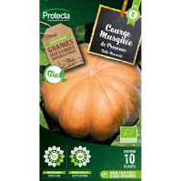 Courge musquée de Provence BIO