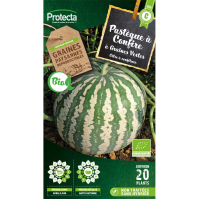 Pastèque à confire Longue à graine verte BIO