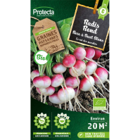 Radis rond Rose à bout blanc BIO
