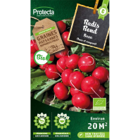 Radis rond rouge Saxa BIO