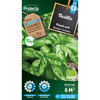 Basilic Genovese Grand vert BIO