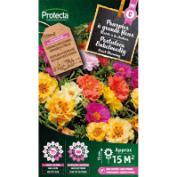 Portulaca Enkelvoedig