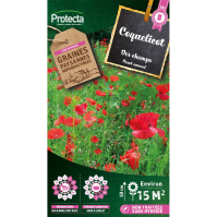 Coquelicot simple rouge 