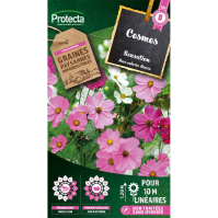 Cosmos sensation varié 	Aux coloris divers