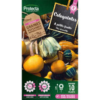 Coloquintes ornementales 