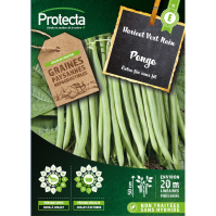 Haricot nain mangetout Pongo 