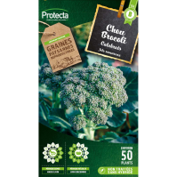 Chou Brocoli à jets verts Calabrais