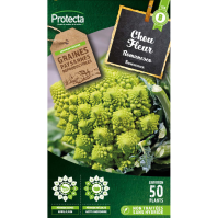 Chou Fleur Romanesco