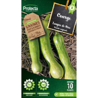 Courge longue de Nice