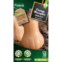 Courge musquée Butternut