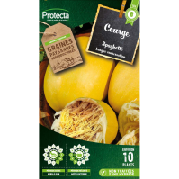 Courge Spaghetti Végétal