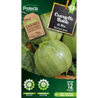 Courgette de Nice à fruit rond