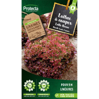 Laitue à couper frisée Lollo Rossa 