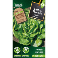 Laitue pommée appia Protecta