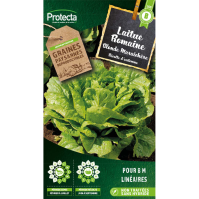 Laitue Romaine Blonde maraichere Protecta
