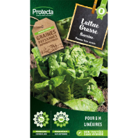 Laitue Grasse sucrine Protecta