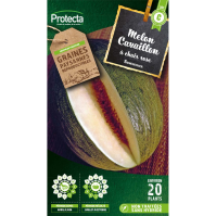 Melon de Cavaillon Espagnol à chair rose 