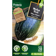 Melon vert olive d'hiver