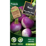 Navet blanc globe violet Protecta