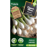 Oignon Blanc Premier Protecta