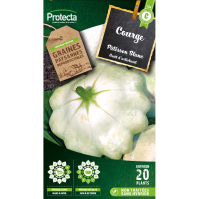 Courge pâtisson blanc protecta