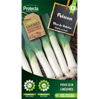 Poireau bleu de solaise Protecta