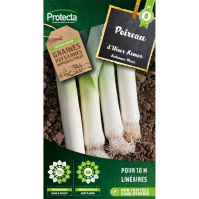 Poireau d'hiver armor Protecta